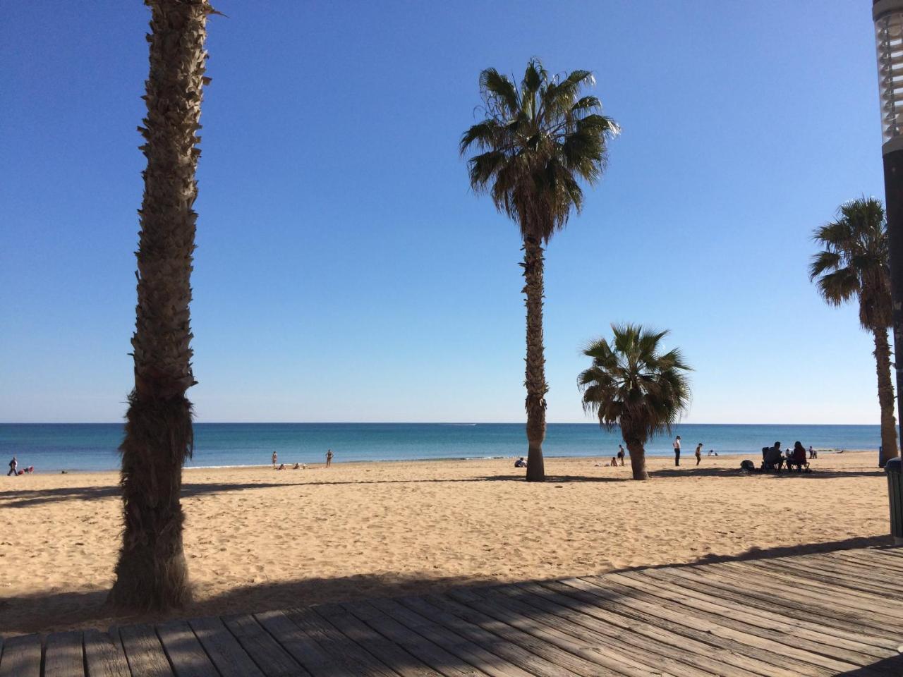 Ardi Casa Apartment La Mata  Luaran gambar